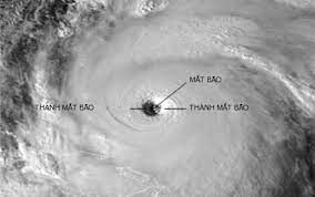 Quy luật chung của bão, áp thấp nhiệt đới ảnh hưởng đến Việt Nam ?